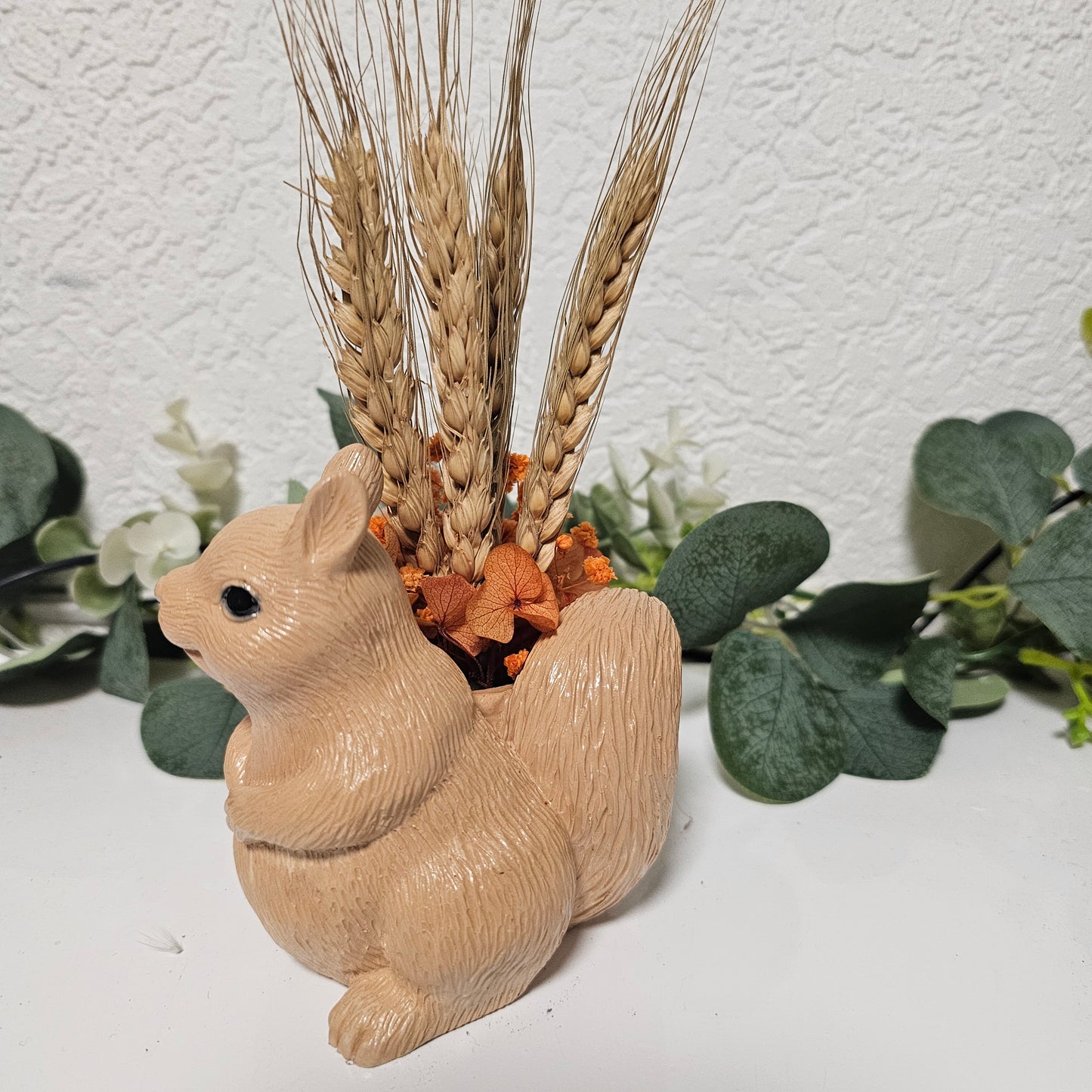 Eichhörnchen